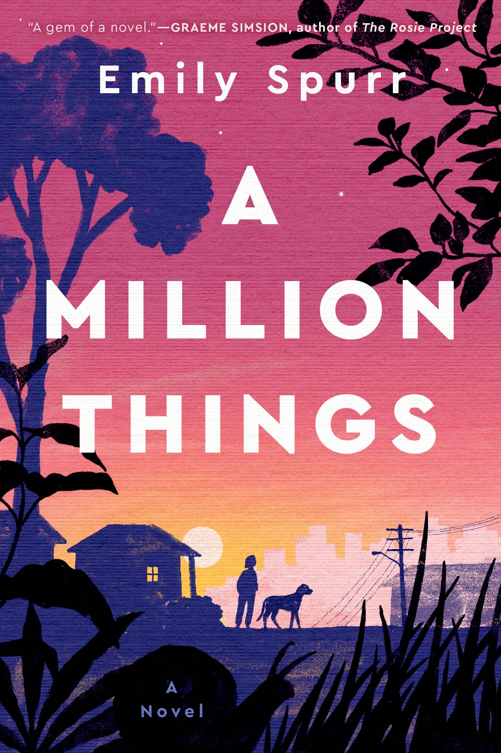 A Million Things Book Cover