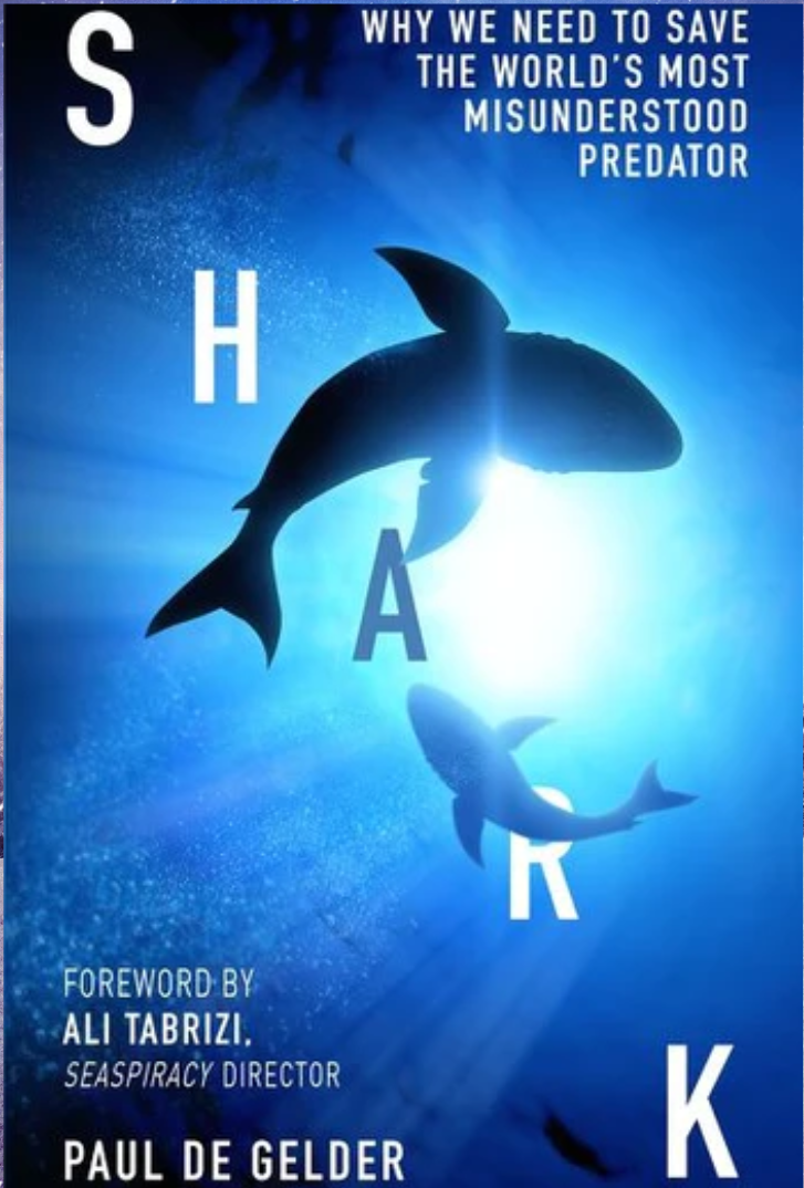 Untitled design (32)