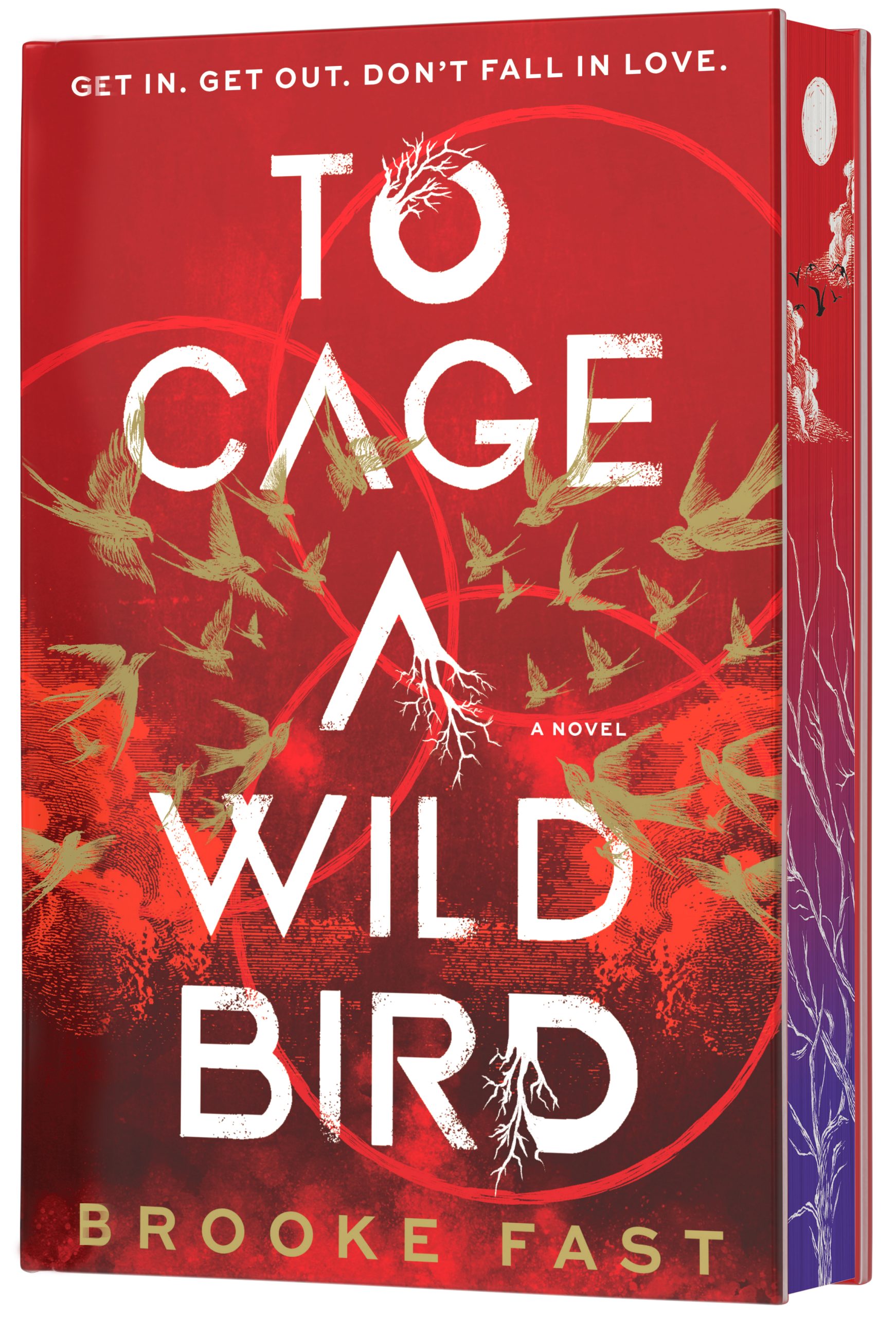 To Cage a Wild Bird, Brooke Fast (Review by Sara D’Onofrio)
