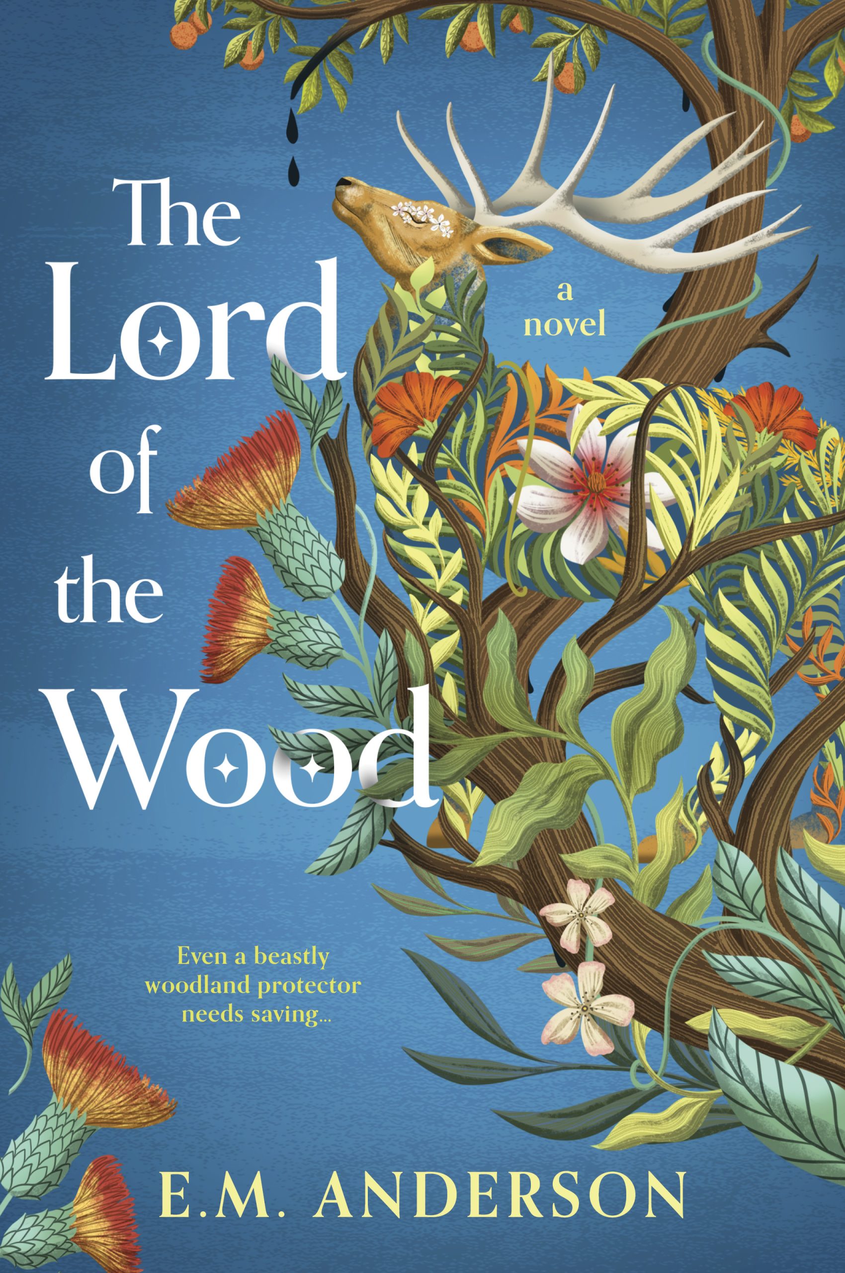 The Lord of the Wood, E.M. Anderson (Review by Abigail Blake)